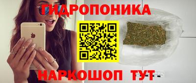 соль ск Будённовск
