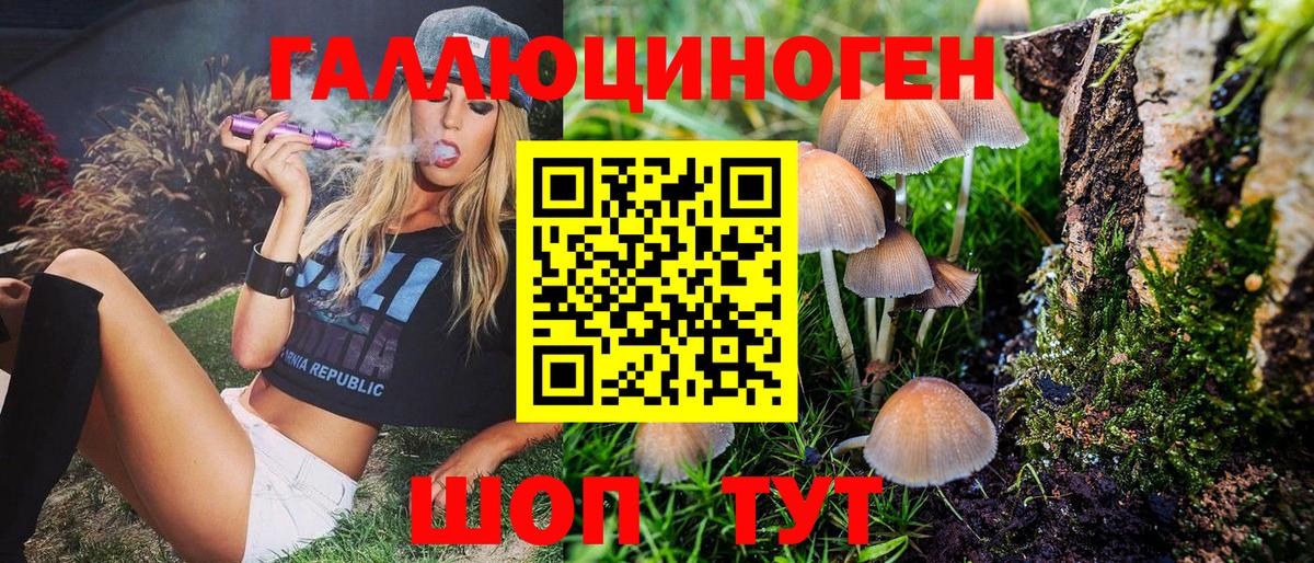 Галлюциногенные грибы MAGIC MUSHROOMS  Вход с VPN  Полысаево 